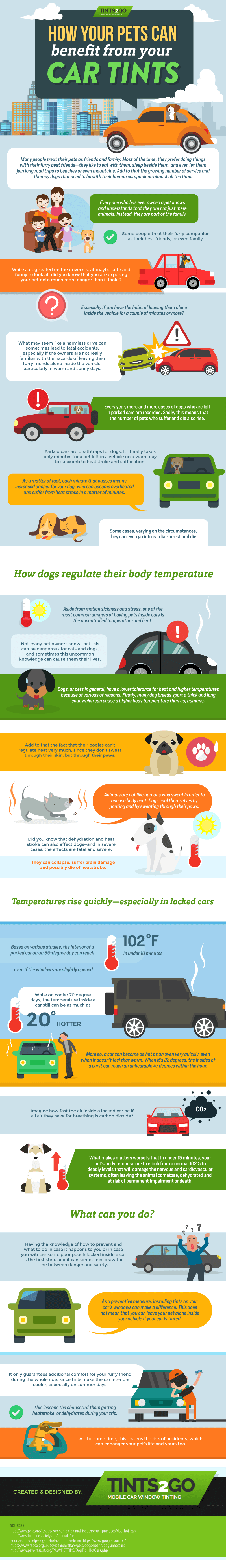 How your pets can benefit from your car tints