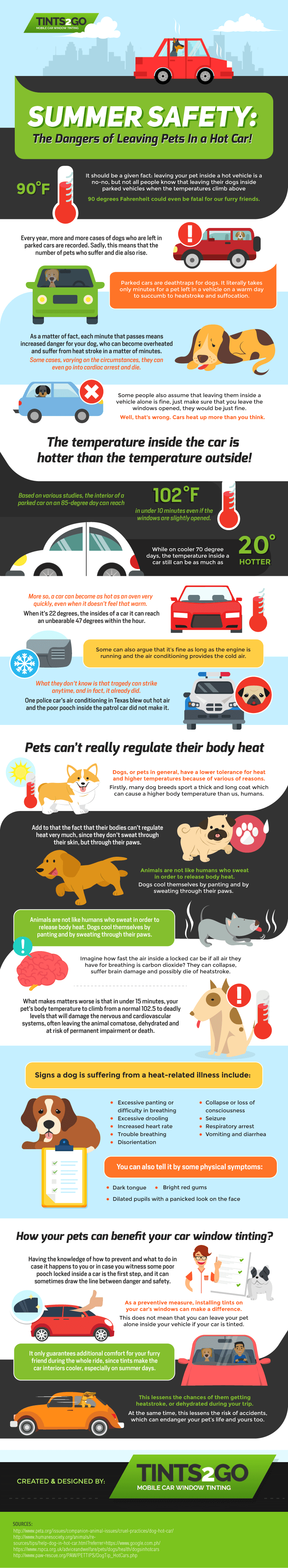Summer Safety The Dangers of Leaving Pets in a Hot Car