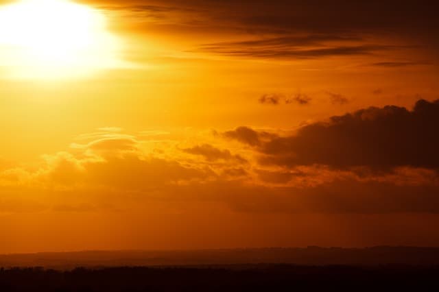 sunlight